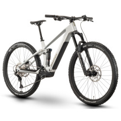 Elektrinis dviratis Raymon Airok 29" 2025 silver stealth-taupe - nuotrauka 1