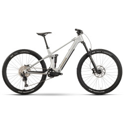 Elektrinis dviratis Raymon Airok 29" 2025 silver stealth-taupe - nuotrauka 3