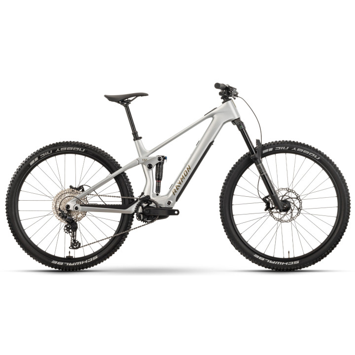 Elektrinis dviratis Raymon Airok 29" 2025 silver stealth-tau