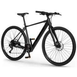 Elektrinis dviratis Ecobike Urban Plus 10 + 7 Ah 601Wh - nuotrauka 2