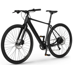 Elektrinis dviratis Ecobike Urban Plus 10 + 7 Ah 601Wh - nuotrauka 3