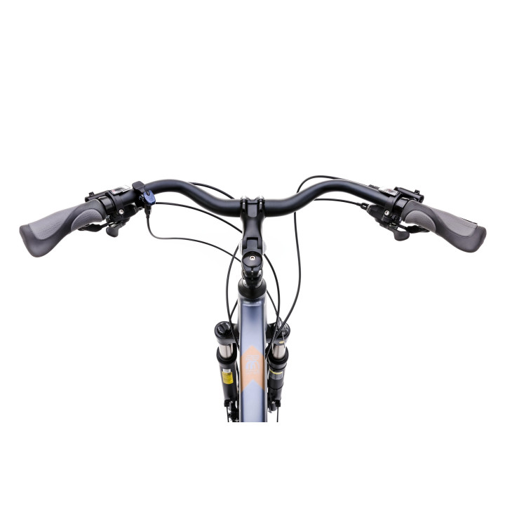 Dviratis Romet Wagant 10 2025 graphite-dark gold