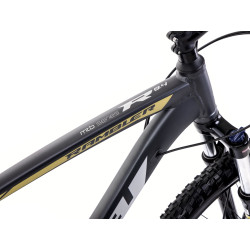 Dviratis Romet Rambler R9.4 CS 2025 graphite-gold - nuotrauka 2